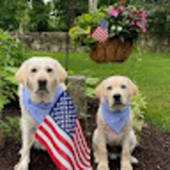 Meet your Posher, Sa - Picture 1 of 1